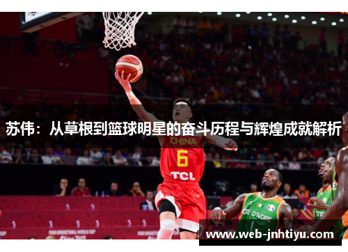 苏伟：从草根到篮球明星的奋斗历程与辉煌成就解析